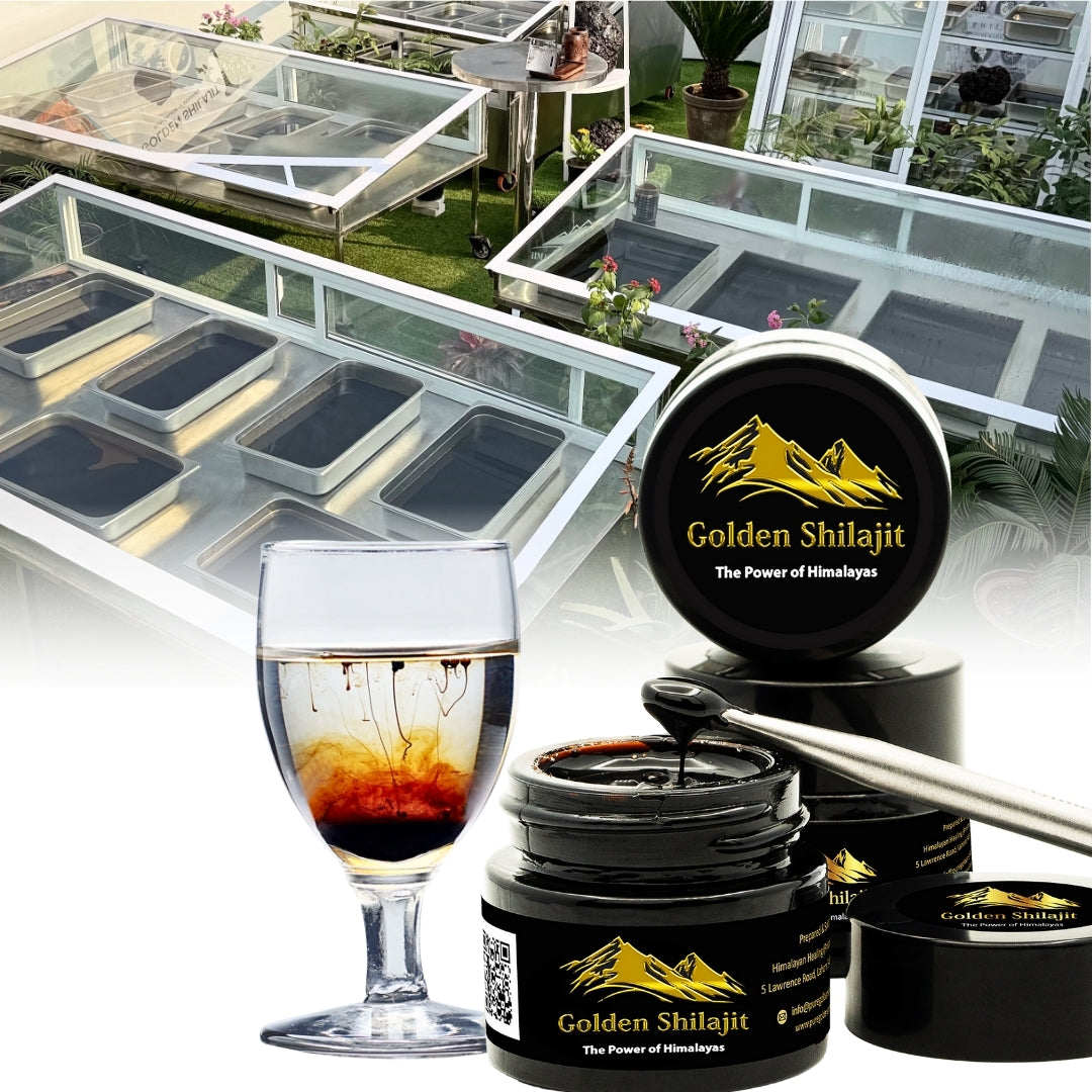 Golden Shilajit Resin