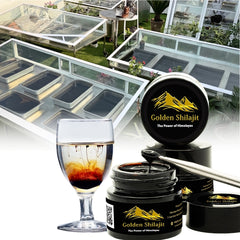 Golden Shilajit Resin