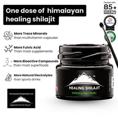 Healing Shilajit Resin